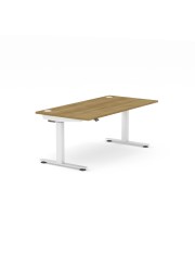 InMotion Rectangular Single Desk